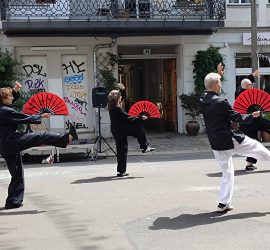 Figur aus der Fächerform auf dem Choriner Straßenfest